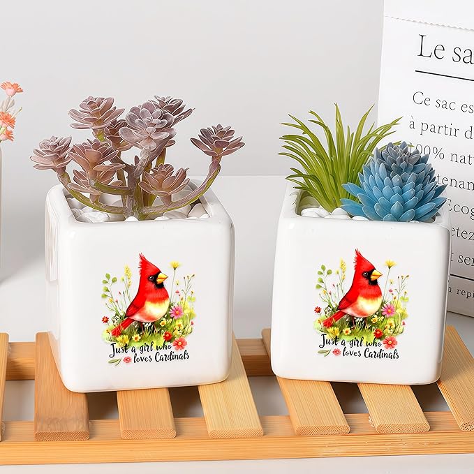 Cardinal Succulent Planter Flower Plant Pot Small, Gifts for Women Teens Girls Kids, Cardinal Lovers Themed Stuff Accessories Things Decor Merch, Home Office Table Desk Decoration!