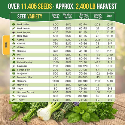 21 Culinary Herb Seeds Variety Pack - Heirloom, Non-GMO, Herb Seeds for Planting Outdoor and Indoor - Home Gardening. Over 11,400+ Seeds Including Rosemary, Thyme, Oregano, Mint, Basil, Parsley & More