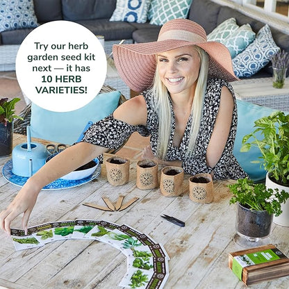 Indoor Herb Garden Starter Kit - Heirloom, Non-GMO Herb Seeds - Basil Thyme Parsley Cilantro Seed, Potting Soil, Pots, Scissors - DIY Grow Kits for Growing Herbs Indoors, Kitchen, Balcony, Window Sill