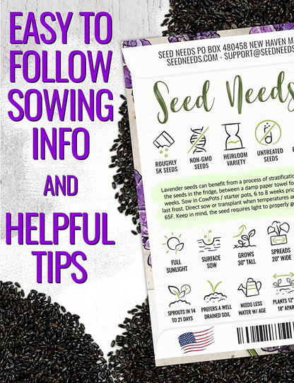 Seed Needs English Lavender Seeds for Planting Lavendula angustifolia Plants - Non-GMO Heirloom & Untreated USA sourced Herb Seeds to Plant Indoors or Outdoors (XL Pack)