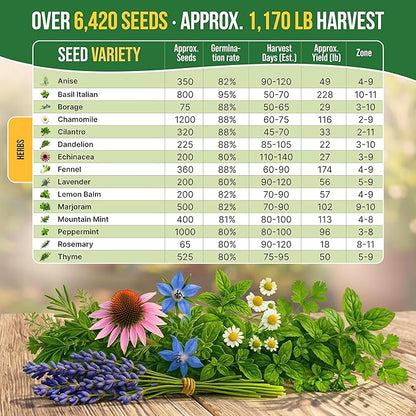 Organo Republic 15 Medicinal & Tea Herb Seeds Variety Pack 6,420+ Non-GMO Heirloom Garden Seeds for Indoor & Outdoors, Including Anise, Borage, Cilantro, Chamomile, Dandelion, Rosemary Seeds
