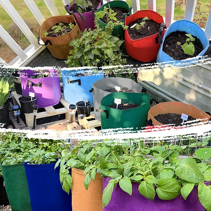 7 Pack 5 Gallon Plant Grow Bags - Mixed 7 Colors with Reinforced Handles & Aeration Design, Ideal for Tomato, Flowers & Fruits