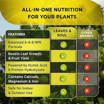 Leaves and Soul Professional Lemon Tree Fertilizer Liquid Concentrate - 6-4-6 Blend for Fruit Tree Fertilizer, Garden - Liquid Plant Food for Lemon Trees in Pots or Outdoors - 32oz