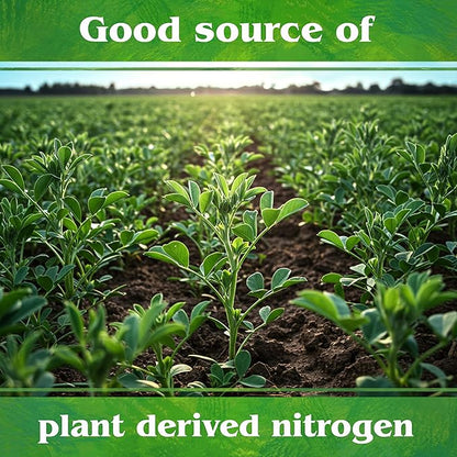 Down To Earth All Natural Fertilizers Organic Alfalfa Meal - Plant Food for Roses, Bulbs, Flowers and Ornamentals 2-0-1, 0.5 lb