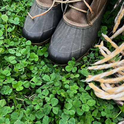 Micro Clover Seed for Lawn - 1 Lb - ~400,000 Microclover Seeds for Planting - Drought-Tolerant Mini Grass Alternative by Mountain Valley Seed Company