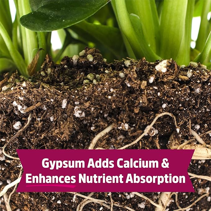 Back to The Roots Organic Blood Meal with Gypsum (3lb, Pack of 4)