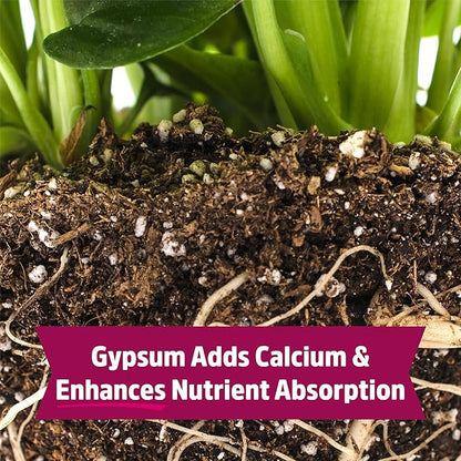 Back to The Roots Organic Blood Meal with Gypsum (3lb, Pack of 4)