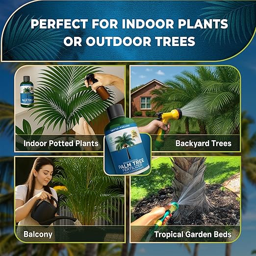 Leaves and Soul Professional Palm Tree Fertilizer Liquid Concentrate - 6-4-6 Blend for Tropical Plant Fertilizer, Garden Use - Liquid Plant Food for Palm Trees and Bushes Outdoors - 8oz
