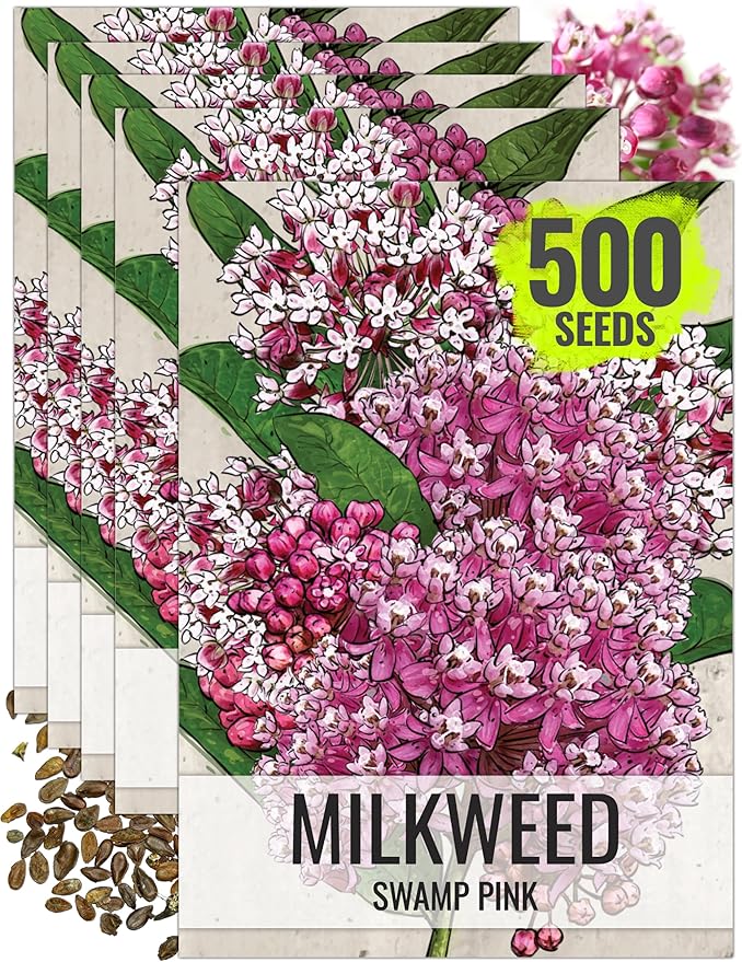 Seed Needs Pink Swamp Milkweed Seeds for Planting - Heirloom & Untreated - Grow a Butterfly Garden to Attract Monarch Butterflies & Pollinators (5 Packs)