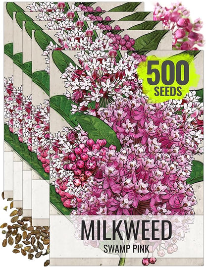 Seed Needs Pink Swamp Milkweed Seeds for Planting - Heirloom & Untreated - Grow a Butterfly Garden to Attract Monarch Butterflies & Pollinators (5 Packs)