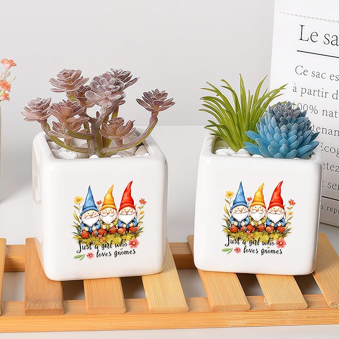 Gnomes Succulent Planter Flower Plant Pot Small, Gifts for Women Teens Girls Kids, Gnomes Lovers Themed Stuff Accessories Things Decor Merch, Home Office Table Desk Decoration!