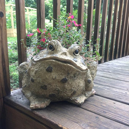 Toad Hollow HomeStyles Extra Large Toad Planter 10.5" H Holds 6" W Pot, Natural Brown