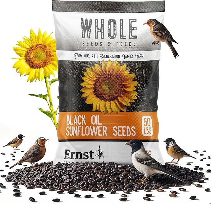 Ernst Grain & Livestock Black Oil Sunflower Seeds - Birdseed for Outside Feeders Wild Bird Food - Ideal Bird Seed for Cardinals, Woodpeckers and More - Non-GMO, 50lb