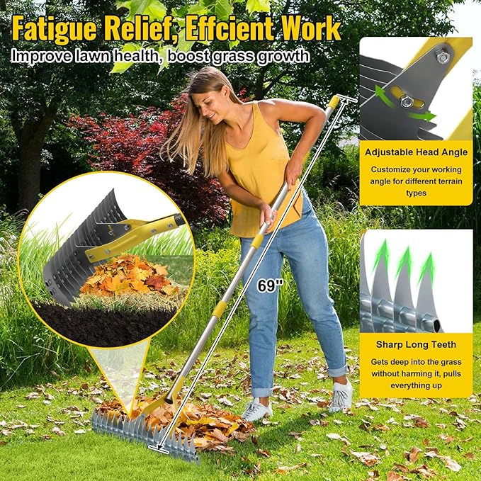 Garden Leaf Rake,Dual Function Thatching Rake for Lawn Dead Grass Leaves, Stainless Steel Heavy Duty 69” Lawn Dethatcher with Sharp 19 Tines, Fast Weeds, Leaf, Thatch, Dead Grass Removal Garden Tool