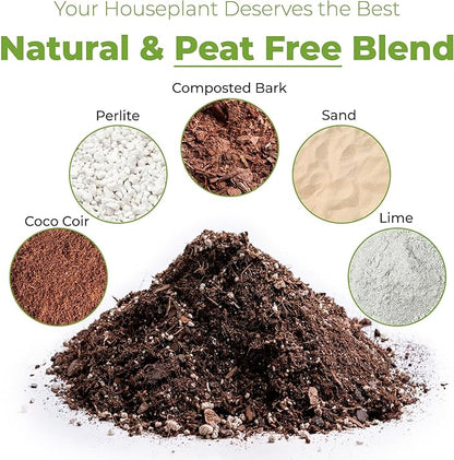 Perfect Plants Indoor Plant Soil 8qt | Perfectly Balanced Potting Mix | Gardening Substrate for All Varieties of Live houseplants (Pack of 2)