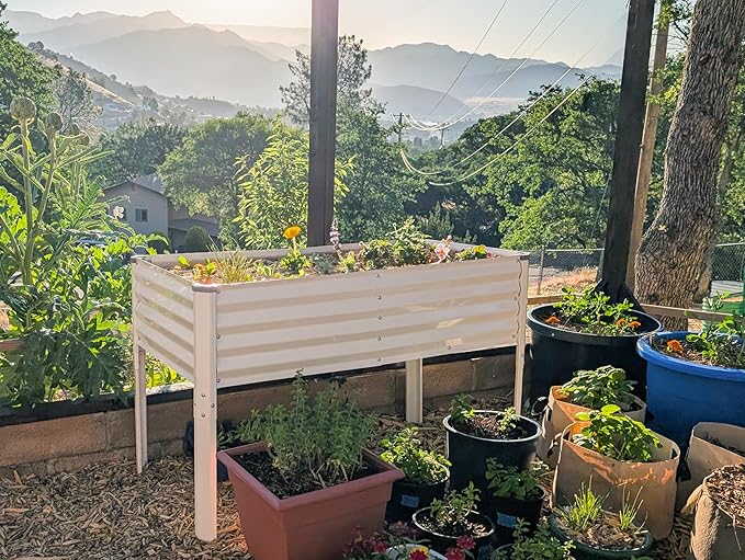 Galvanized Raised Garden Beds Outdoor with Legs // 48×24×31in Elevated Planter Box for Vegetables, Flowers (White) // Large Metal Garden Bed for Backyard Patio Gardening