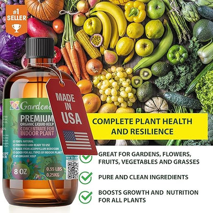 GARDENERA Premium Organic Seaweed & Kelp Superfood for Avocado Plants - 32 oz - Liquid Kelp Fertilizer Concentrate (Makes 180 Gallons)