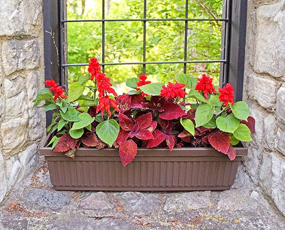 The HC Companies 18 Inch Venetian Rectangular Window Planter Box - Lightweight Plastic Indoor Outdoor Plant Pot with Drainage for Windowsill, Herbs, Flowers, Clay (Pack of 2)
