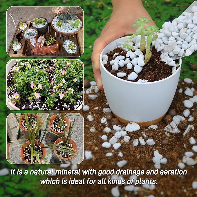 18 Quarts Chunky Perlite for Plant Soil Amendment for Potting Soil, Improves Drainage and Aeration for Soil, Ideal for Succulents, Orchid, Flower Plants (1/4 inch)