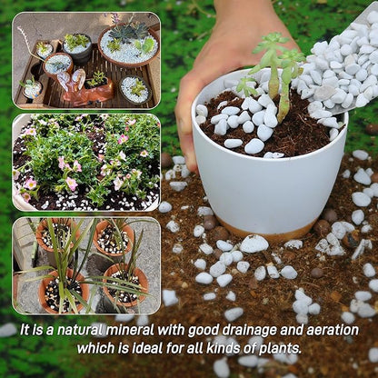 3 Quarts Chunky Perlite for Plant Soil Amendment for Potting Soil, Improves Drainage and Aeration for Soil, Ideal for Succulents, Orchid, Flower Plants (1/4 inch)
