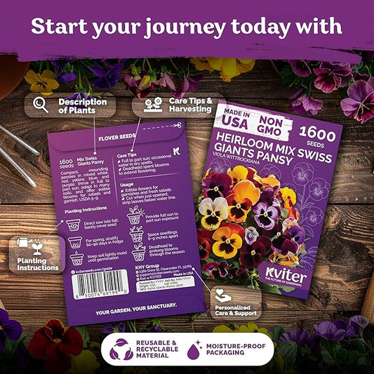 KVITER 1600 Swiss Giants Pansy Seeds For Planting (Viola wittrockiana) – Mixed Colors Seed Packets Viola Edible Blooms – Perennial Flower Seeds to Plant Outside Garden Seed Mix, Containers Flower Beds