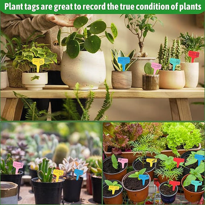Plant Labels Tags 200Pcs T-Type Plant Markers Plastic Plant Label Garden Labels Tags Plant Labels for Outdoor Garden Waterproof Plant Label Identification Stakes with Permanent Marking Pen 5 Colors