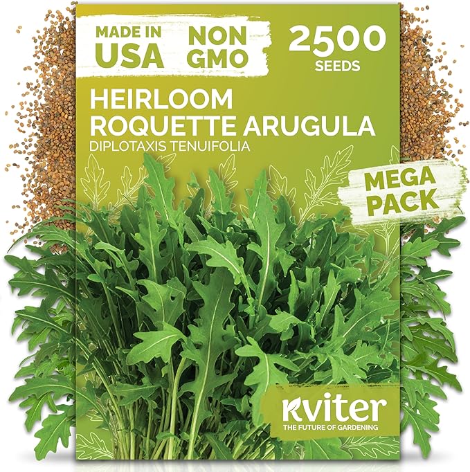 KVITER 2500 Roquette Arugula Seeds (Diplotaxis tenuifolia) - Arugula Fresh Organic & Non GMO Perennial Seed, Wild/Wall Rocket - Heirloom Herb Seeds for Planting in Outdoor & Indoor Garden