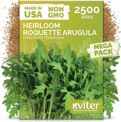 KVITER 2500 Roquette Arugula Seeds (Diplotaxis tenuifolia) - Arugula Fresh Organic & Non GMO Perennial Seed, Wild/Wall Rocket - Heirloom Herb Seeds for Planting in Outdoor & Indoor Garden