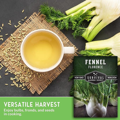 Fennel Seed for Planting - 2 Packets with Instructions to Grow Cool-Weather Florence Fennel (Finnochio) in Your Home Vegetable Garden - Non-GMO Heirloom Variety - Survival Garden Seeds