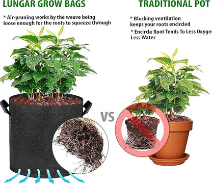 Plant Grow Bags - 7 Gallon 10 Packs Planter Pot, Thickest Aeration 300G Non-Woven Fabric, Reinforced Handles for Weatherproof Nursery Pot, Enhanced Double Seam