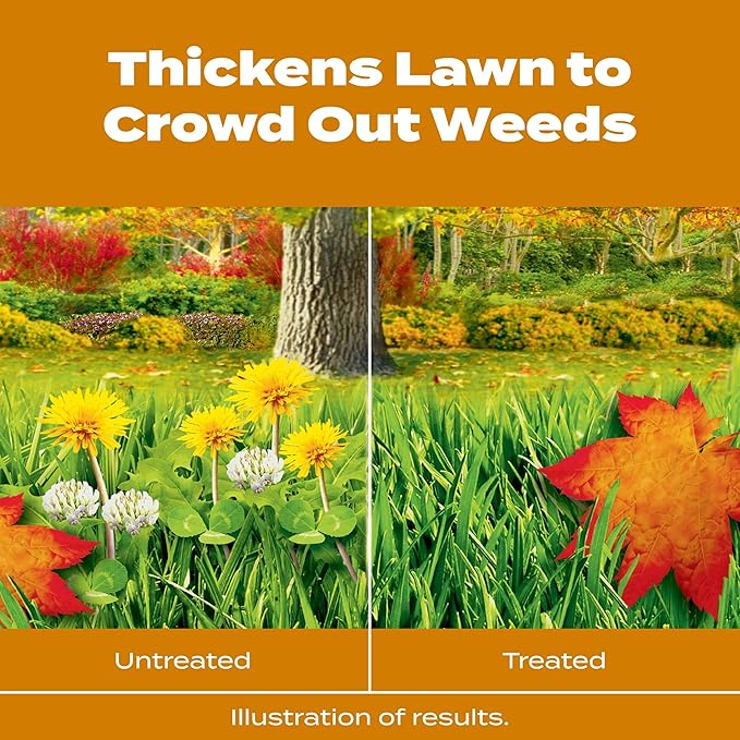 Scotts Turf Builder WinterGuard Fall Weed & Feed3, Weed Killer Plus Fall Fertilizer, 12,000 sq. ft, 34.3 lbs.