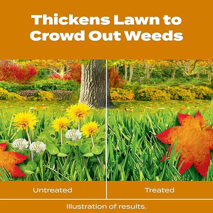 Scotts Turf Builder WinterGuard Fall Weed & Feed5, Weed Killer Plus Fall Fertilizer, 12,000 sq. ft., 33.84 lbs.