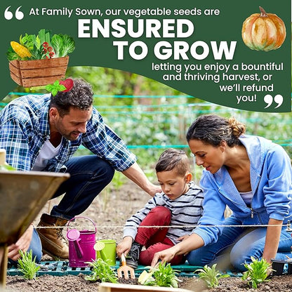 Tomato Seeds | 10 Individual Packs | 2026 Season | Non-GMO | Roma, Brandywine, Cherry & More! | for Planting Indoor & Outdoor | by Family Sown