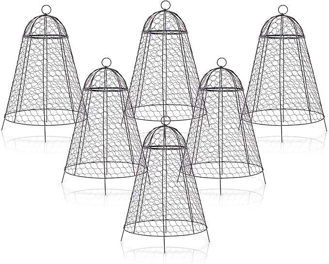 boldworks Garden Cloches for Plants Chicken Wire Cages to Protect from Animals Outdoor Extra Large Rustproof Thicker and Finer Mesh 12" x 20" Pack of 6