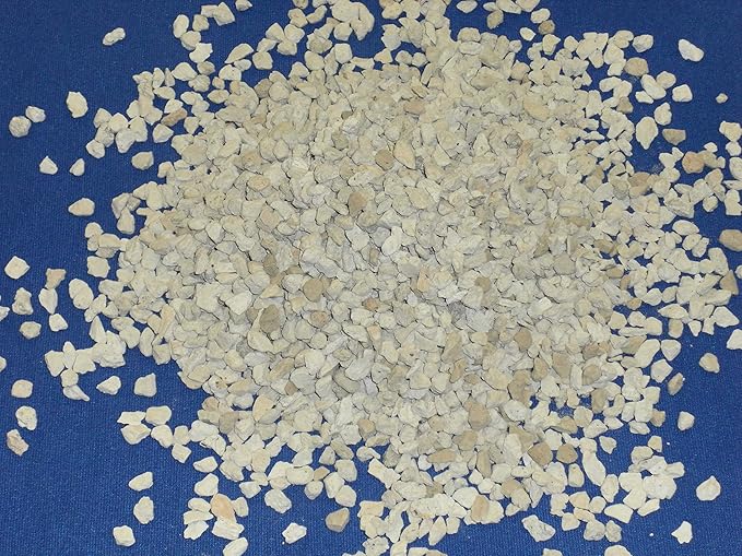 Gardening Pumice for Plants Soil Amendment | 3/8" Screened | 8 Quarts