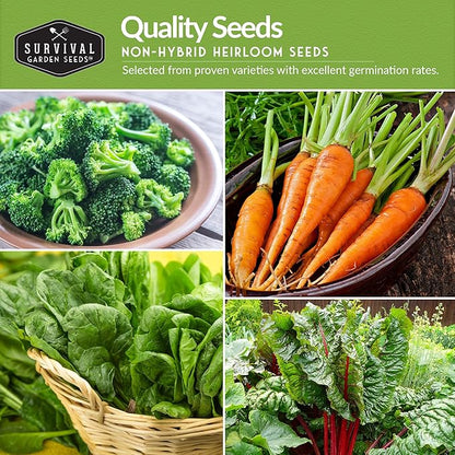 Vegetable Seeds 12 Variety Pack – Veggies & Herbs for Planting Indoor or Outdoor | Basil, Lettuce, Tomato, Cucumber, Winter Squash & More – Heirloom Kitchen Garden Gift Set – Survival Garden Seeds