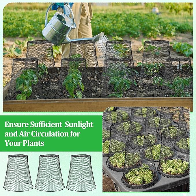 Therwen 20 Pcs Large Chicken Wire Cloche Plant Protector Cover 11x12 Inch Metal Garden Cloche Dome for Plants Wire Protection Basket with Garden Stakes Plant Cages from Animals (Black)