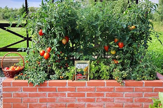 The Old Farmer's Almanac Tomato & Vegetable Plant Food Mini Spikes - NPK 6-4-6 for Continuous Feeding and Bountiful Harvests (12 Mini Plant Food Spikes)