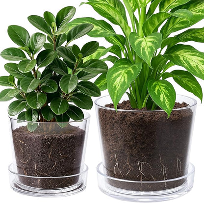 Phoenix Vine 8 Inch 10 Inch Clear Acrylic Houseplants Planter Pot with Tray, Orchid Pot with Drainage Holes, Deep Saucer for Bottom Watering, Transparent Containers for Indoor Plants, Herbs, 91-B-Y