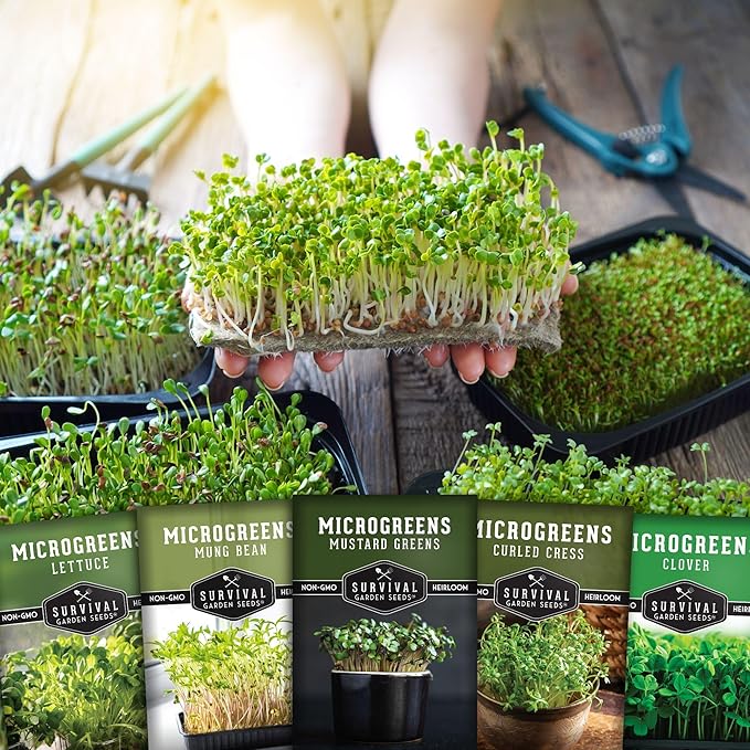 Microgreens Seeds 5-Variety Pack for Sprouting – Mustard, Mung Bean, Curled Cress, Clover & Lettuce Seed for Indoors – Fast-Growing Non-GMO Heirloom Starter Pack – Survival Garden Seeds