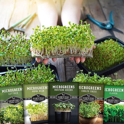 Microgreens Seeds 5-Variety Pack for Sprouting – Mustard, Mung Bean, Curled Cress, Clover & Lettuce Seed for Indoors – Fast-Growing Non-GMO Heirloom Starter Pack – Survival Garden Seeds