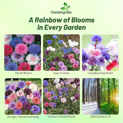 Outsidepride Polka Dot Mix Cornflower Seeds for Planting - 2000 Pcs. Annual Bachelor's Button Flower Seeds for Cut Flower Gardens, Drought-Tolerant, Attracts Pollinators, Ideal for Borders & Bouquets