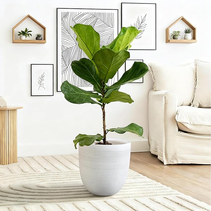12" Dia Round Planter – White Matte Decorative Flower Pot with Drainage Hole, Lightweight Durable Indoor/Outdoor Plant Container for Home Patio Garden Porch, Modern Minimalist Design