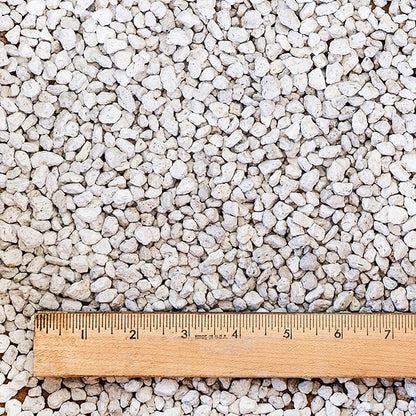 Tank's Horticultural Pumice 8qt