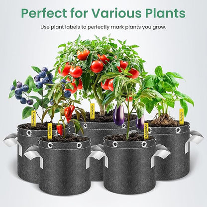 InfiniPower 10 Pack 10 Gallon Plant Grow Bags, 400G Thick Nonwoven Fabric Pots with Multi-Purpose Rings and Handles, Reusable for Low Stress Plant Training Fruits, Vegetables and Flowers