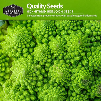 Italian Heirloom Vegetable Seeds – 6 Variety Garden Collection for Planting with Romanesco Broccoli, Roma Tomato, Marconi Pepper, & More – Non-GMO Vegetables for Home Gardens – Survival Garden Seeds