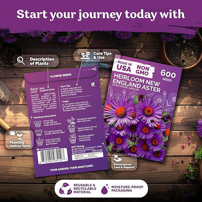 KVITER 600 New England Aster Seeds for Planting (Aster novae-angliae) – Purple Asters Plant Wildflower Seed Packets – Perennial Cut Flower Seeds, Purple Flower Garden, Flowers Beds, Containers