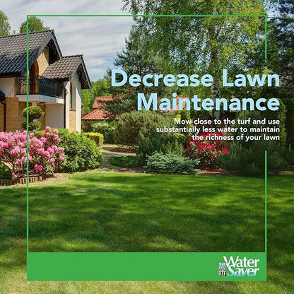 WaterSaver Grass Mixture with Turf-Type Tall Fescue Used to Seed New Lawn and Patch Up Jobs-Grows in Sun or Shade, 1.5 lbs - Covers 1/100 Acre