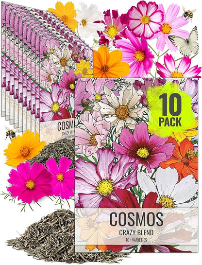 Seed Needs Flower Seeds Cosmos Crazy Blend No Filler 10+ Varieties | Cosmo Bipinnatus Open Pollinated Untreated | Resealable Packaging Keeps Seeds Fresh | Cosmos Flowering Seed Mix (10 Bulk Packs)
