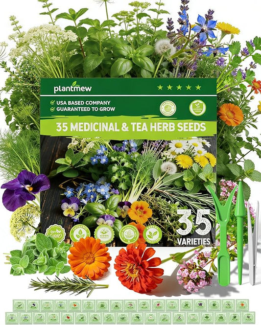 Medicinal & Tea Herb Seeds for Planting - 35 Non-GMO Heirloom Variety Pack for Indoor/Outdoor Garden: Anise, Bergamot, Borage, Fennel, Chamomile, Dandelion, Oregano, Hyssop, Catnip Seeds & More